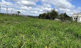 Imagem 5: Terreno Lote para Venda em Recanto Corcunda Gravataí-RS - 1776