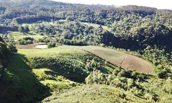 Imagem 5: Belíssimo Sítio com 21,00 ha Serra Catarinense