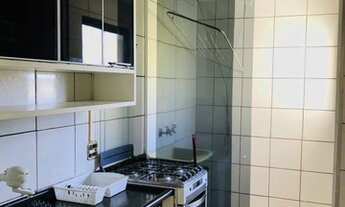 Imagem 7: Apartamento à venda em Terra Preta