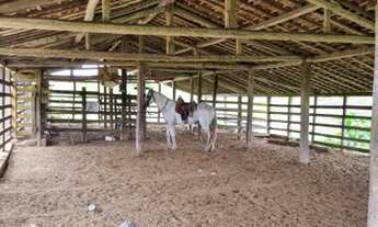 Imagem 5: Gt; Fazenda Em Umbauba