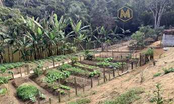 Imagem 5: Fazenda/Sítio/Chácara para venda com 12000 metros quadrados com 3 quartos