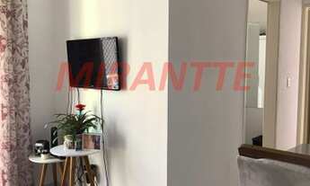 Imagem 3: Lindo apartamento em Vila Amelia