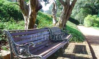 Imagem 7: Terreno - Vila Hollândia - Campinas