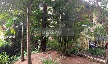 Imagem 7: São Paulo - Casa Padrão - Parque Munhoz