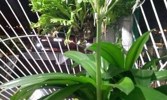 Imagem 4: Casa Casa com 2 dormitórios