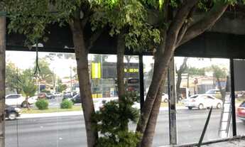 Imagem 5: Galpão à venda e para locação, Moema, São Paulo, SP