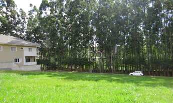 Imagem 3: Terreno Residencial à venda, Orfãs, Ponta Grossa -