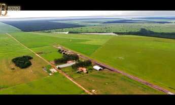 Imagem 5: Fazenda Agropecuária - Porteira Fechada - Mato Grosso