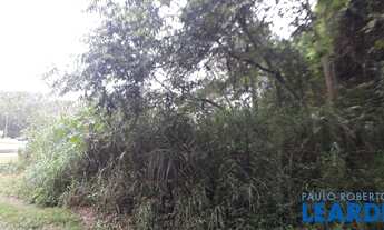 Imagem 4: TERRENO - CURURUQUARA - SP