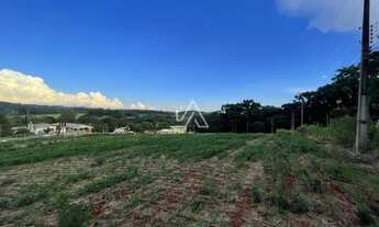 Imagem 2: TERRENO RS 324 - 1 HA