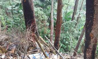 Imagem 7: Terreno à Venda no Tucuruvi com 3.351 m²