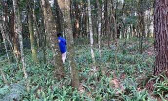 Imagem: Área à venda, 196000 m² por R$ 4.963.000,00