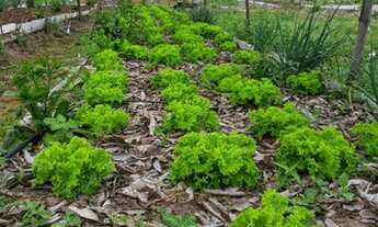 Imagem 3: Fazenda/Sítio/Chácara para venda tem 26910 metros quadrados com 3 quartos