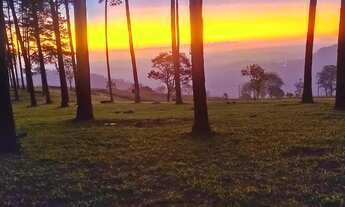 Imagem 2: TERRENOS COM OTIMAS PARCELAS