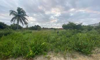 Imagem 3: Terreno em Jacuma