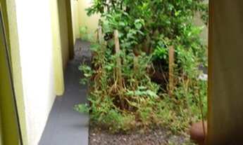 Imagem 4: Casa à venda, Park do Imperador, Matão, SP