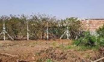 Imagem: Terreno - Pq. Industrial