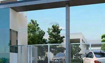 Imagem 3: Vista dos Cedros