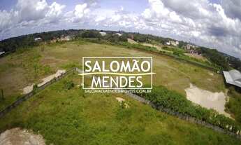 Imagem 5: Terreno com 62 mil m² junto a BR-316, 4 lotes
