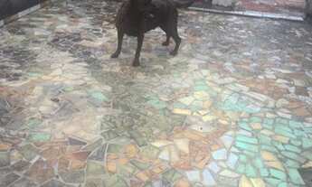 Imagem 4: CASA ASSOBRADADA - JARDIM SABARÁ - SP