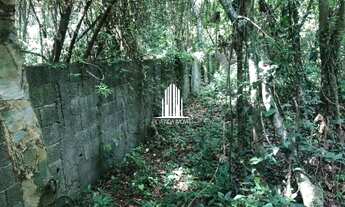 Imagem 4: Terreno Industrial em Cotia