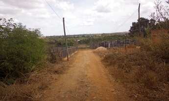 Imagem 4: Lote 200M² Estrutural-DF