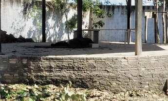 Imagem 5: Terreno alter do chão