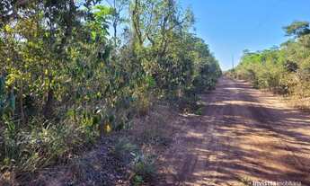 Imagem 2: Fazendas em Tocantins