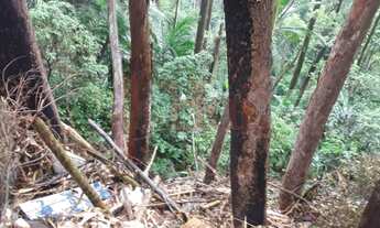 Imagem 5: Terreno à Venda no Tucuruvi com 3.351 m²