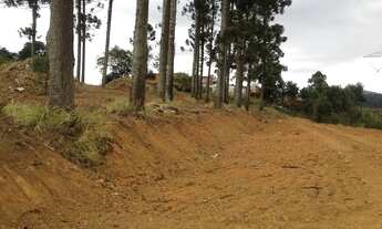 Imagem 6: Terreno com 2.740M² Próx. ao Centro de Cotia (Km 32 Rap. Tavares