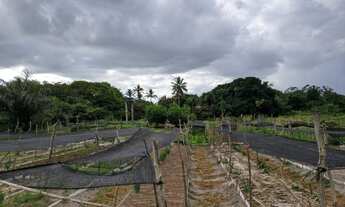 Imagem 5: Fazenda/Sítio/Chácara para venda tem 26910 metros quadrados com 3 quartos