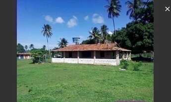 Imagem 2: VENDO UMA ILHA EM PIAÇABUÇU