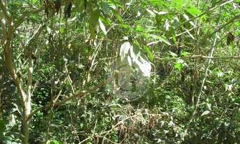 Imagem 4: Butantã! Terreno à venda, Granja Viana, Cotia - TE0027