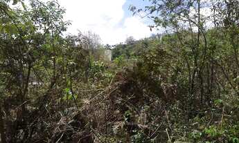 Imagem 5: Terreno à venda, 4000 m² por R$ 1.400.000,00 - Granja Viana - Cotia/SP