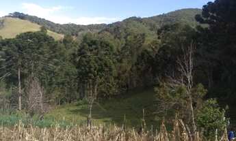 Imagem 2: Ótima Chácara com 10,3 Alqueires na Serra da Mantiqueira em Marmelópolis/MG