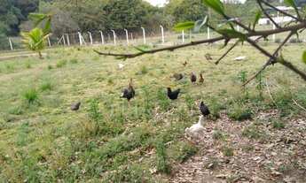 Imagem 3: área - Guedes - Jaguariúna