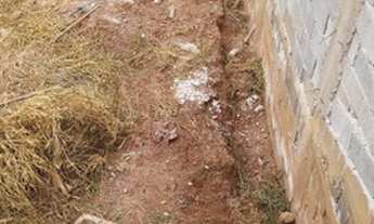 Imagem 7: Terreno Terreno / lote com venda por R$190.000