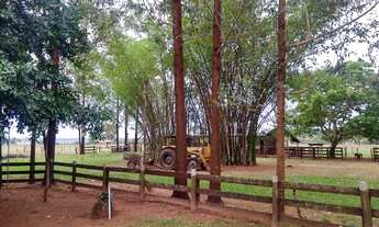 Imagem: Fazenda de 204 hectares. Dupla aptidão