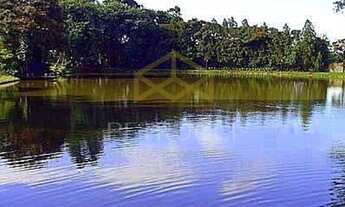 Imagem 5: Terreno - Vila Hollândia - Campinas