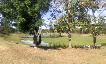 Imagem 5: área - Cidade Universitária - Campinas