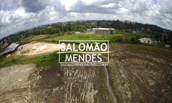 Imagem 2: Terreno com 62 mil m² junto a BR-316, 4 lotes