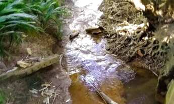 Imagem 4: Chácara no Aeroporto Sul
