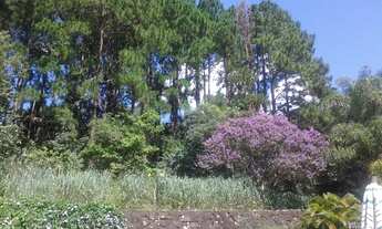 Imagem 6: Chácara - Lopes - Valinhos