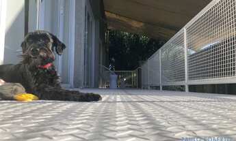 Imagem 3: CASA EM CONDOMÍNIO - TAMBORÉ - SP