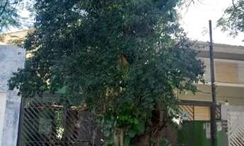 Imagem 3: SÃO PAULO - Casa Padrão - PLANALTO PAULISTA