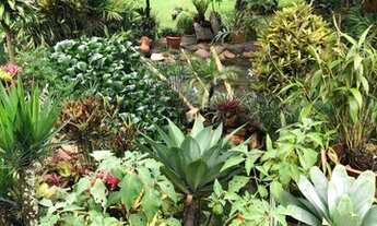 Imagem 3: Sítio de 6 Alqueires Região de Capetinga-MG