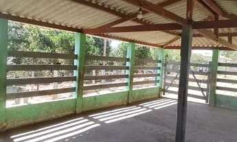 Imagem 5: Chácara para venda possui 1 alqueire de Terra