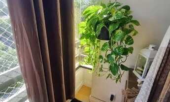 Imagem 5: Apartamento em Tristeza