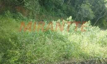 Imagem 6: Terreno em Centro