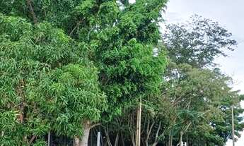 Imagem 5: Terreno 510m² para rancho em condomínio fechado Buritama/SP